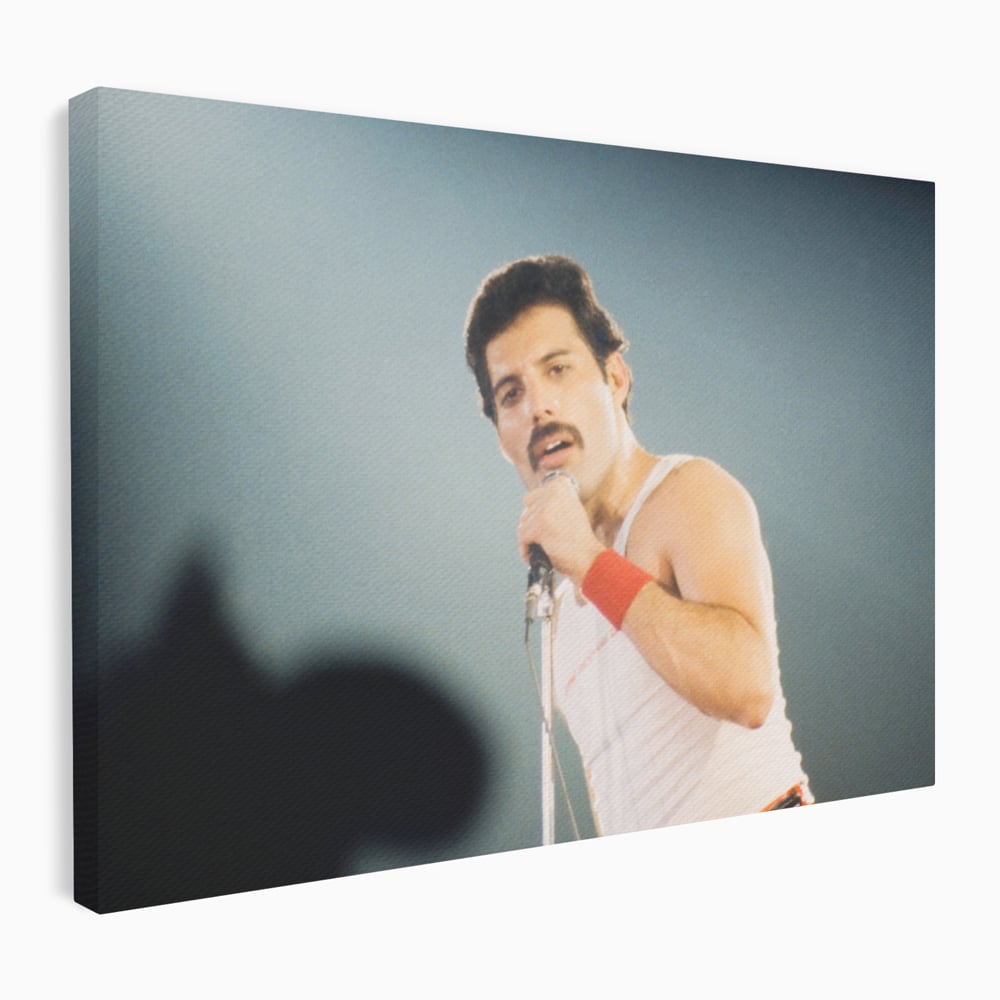 Tablou canvas cu tablou canvas cu freddie mercury, fara rama, pe sasiu de lemn